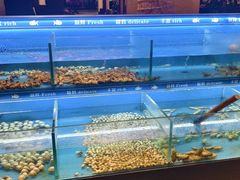 -太湖饭店玉兰厅(自助餐厅)