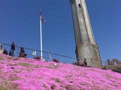 -阿尔卡特拉斯岛