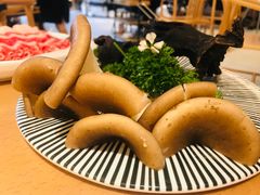 新鲜猪肚菌-湯系·煲汤手艺人(东二环泰禾广场店)