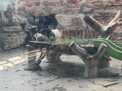 -石家庄市动物园