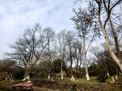 -西溪国家湿地公园