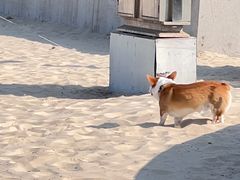 -ChanDu躔度咖啡(灯塔店)