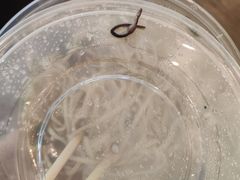 -车沾巷·重庆老味豌杂面