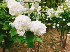 -白塘生态植物园