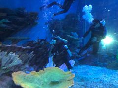 -华夏文旅海洋公园