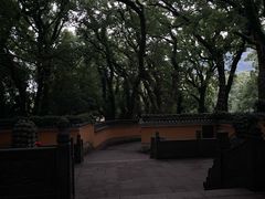 -普陀山风景名胜区-法雨禅寺