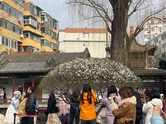 -碑林公园