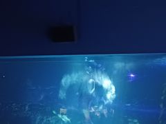 -常州海昌海洋探索馆