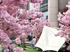 -西北轻工批发市场