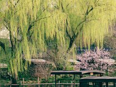 -乌镇景区