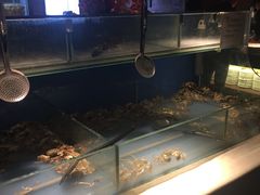 -星伦多自助料理·涮烤一体(虹悦城店)