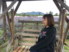 -北京东方普罗旺斯薰衣草庄园