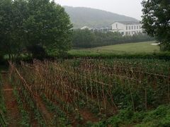 android_upload_pic-苏州环秀晓筑养生度假村