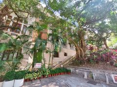 -香港大学