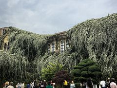 -成都当代影像馆