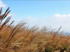 -银瓶嘴森林公园