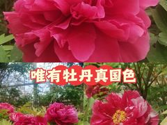 -太阳宫公园
