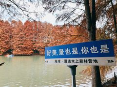 -上海海湾国家森林公园