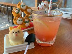 -柴犬高等学院·狗咖·柴犬售卖·宠物训练