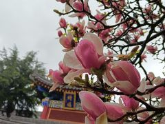 -西安市广仁寺