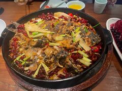 -老板恋上鱼(环山路店)