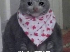 -陈光记烧腊(长寿路店)