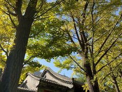 -阳台山自然风景区