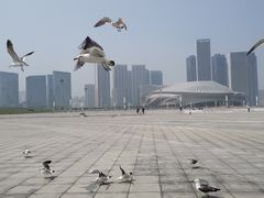 -东港音乐喷泉广场