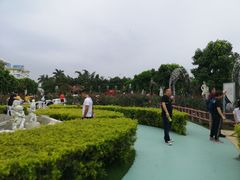 -百万葵园