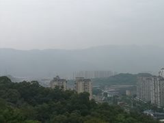 -金鸡山公园