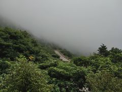 -桃花岛风景旅游区