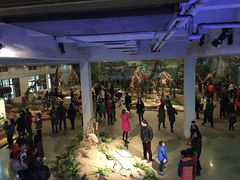 -自贡恐龙博物馆