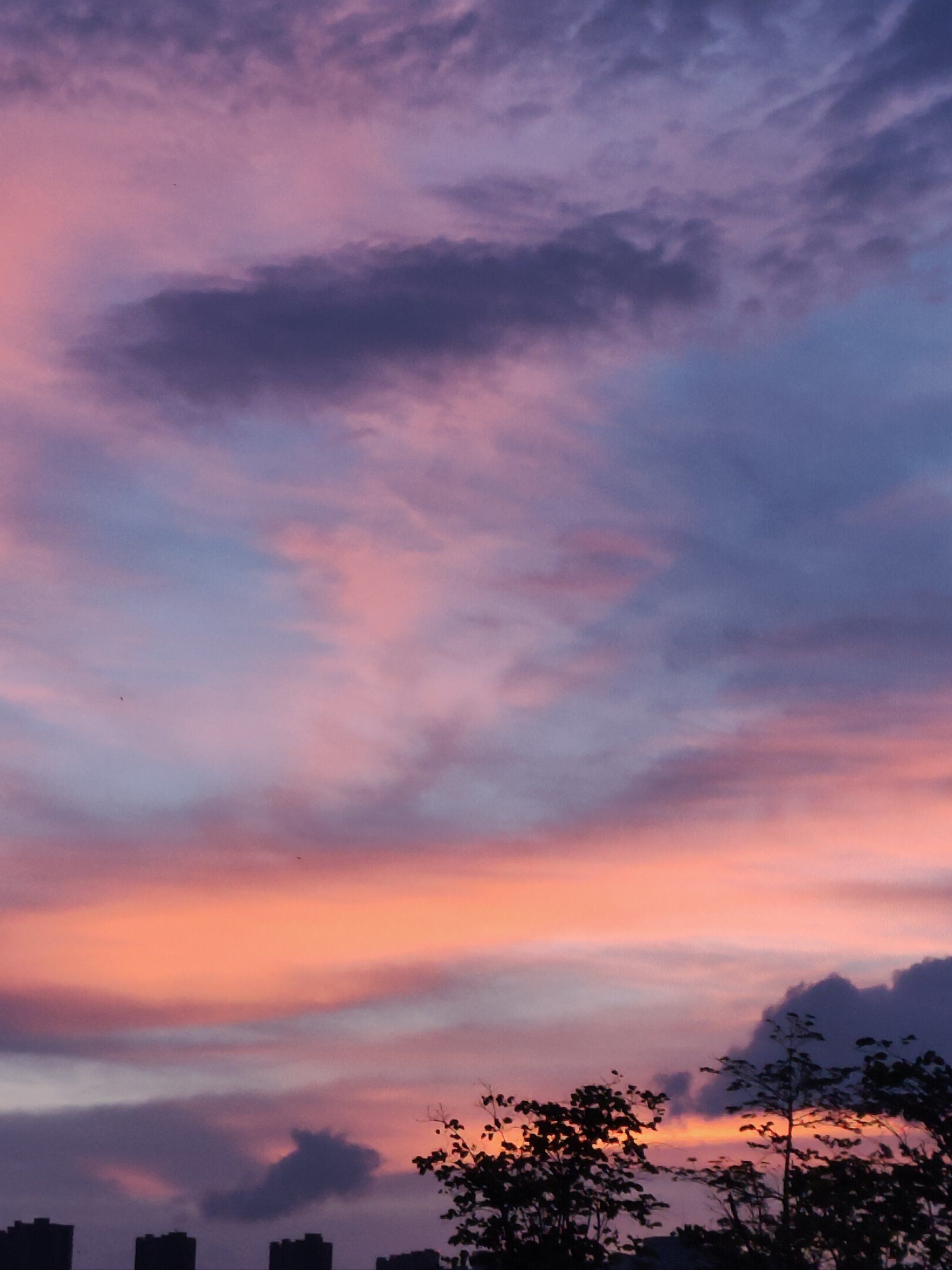 原图直出昨晚的夕阳,粉紫色的天空
