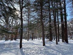 -北海道神宫