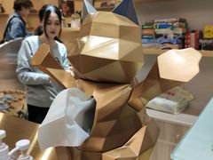 -飞行喵MR PILOT|猫舍·猫咖(静安大融城店)