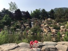 -西安秦岭野生动物园