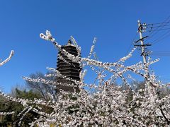 -玲珑塔公园
