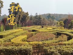 -铁山坪森林公园