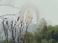-庐山风景名胜区-东林大佛