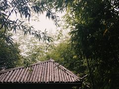 -咸宁万豪温泉谷度假区