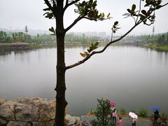 -枫香湖儿童公园