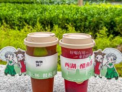 -炖物24章·顺时轻养茶(黄龙店)