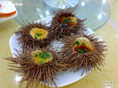 海胆蒸蛋&nbsp;-海岛渔村大酒店(云霄路店)