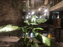 -青藤茶馆(南山路店)