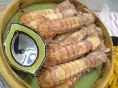 -徐嘉赫龙虾馆