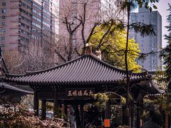 -西安大兴善寺