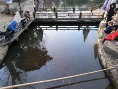 -白马涧龙池景区