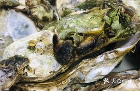 Steamed Oysters (One Dozen)