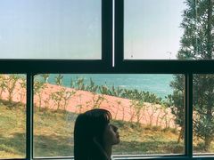 -广东惠东海龟国家级自然保护区