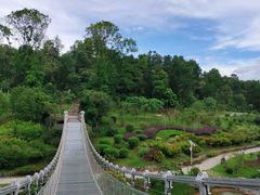 -东莞植物园